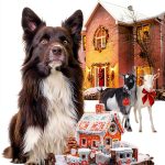 Little Leaf Creek Cozy Mystery Kindle Book Series English-0