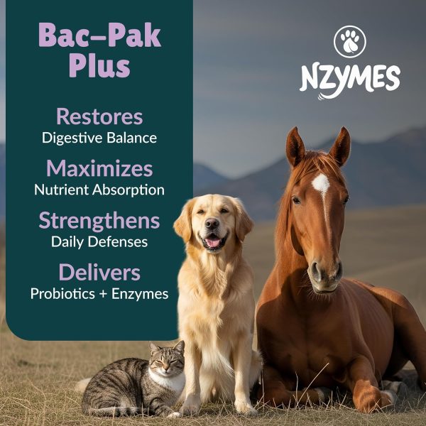 Nzymes Bac-Pak Plus Digestive Enzymes Probiotics Pet-1