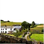 Boldwood Books Cozy Animal Mystery Kindle eBook Series-0