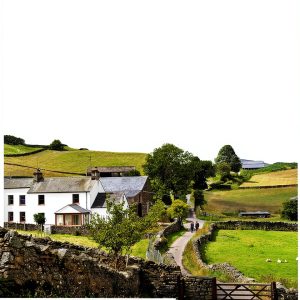 Boldwood Books Cozy Animal Mystery Kindle eBook Series-0