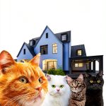 Puss in Books Cozy Animal Mystery Kindle Edition English-0