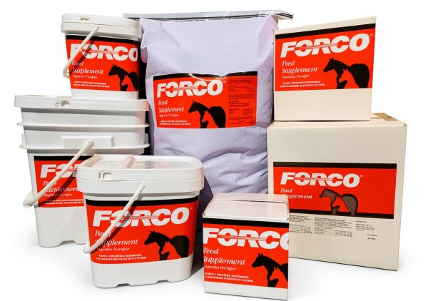 FORCO Horse Probiotic Prebiotic Digestive Supplement Pellets-0
