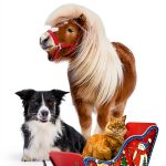 Bought the Farm Mystery Cozy Animal Sleuth Book 23 Kindle-0