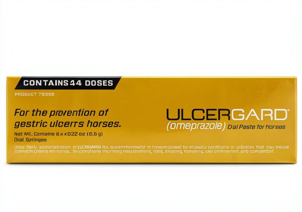 Horse Probiotic Syringe WIM Scientific 6 Pack-3