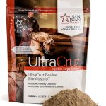 Horse Probiotic Supplement Santa Cruz Health-0