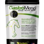 Horse Probiotic SynNutra Digestive Support-0