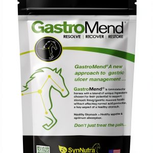 Horse Probiotic SynNutra Digestive Support-0