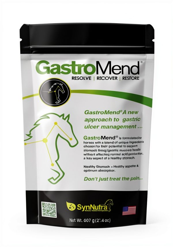 Horse Probiotic SynNutra Digestive Support-0