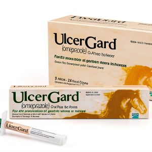 Horse Probiotic Syringe WIM Scientific 6 Pack-0