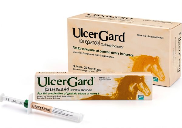 Horse Probiotic Syringe WIM Scientific 6 Pack-0