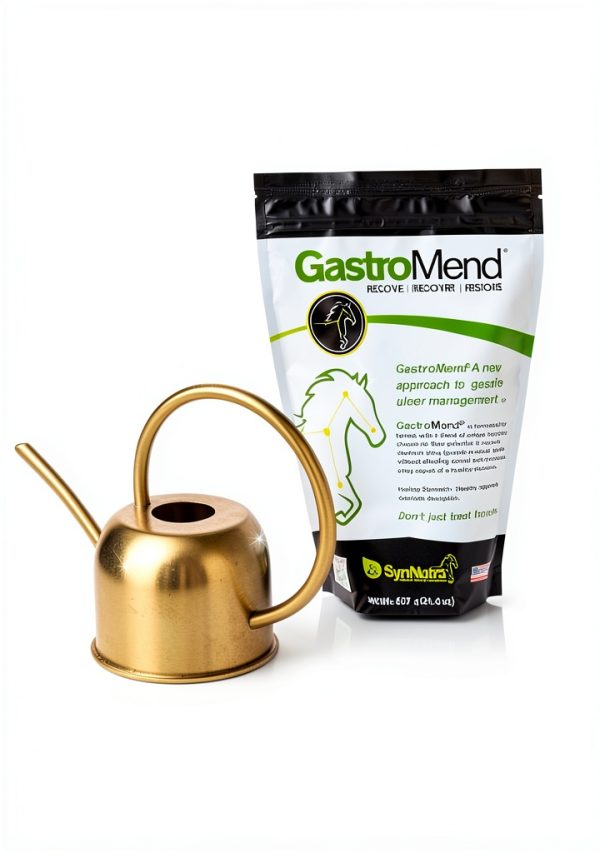 Horse Probiotic SynNutra Digestive Support-4