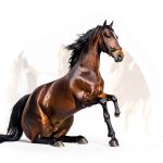 Vital Vine Equine Probiotics 16.99-0