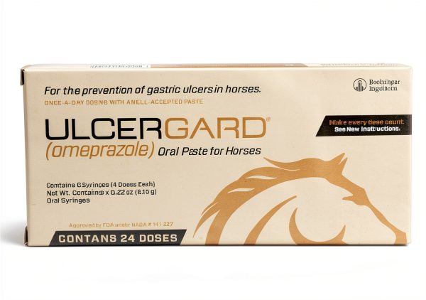 Horse Probiotic Syringe WIM Scientific 6 Pack-4