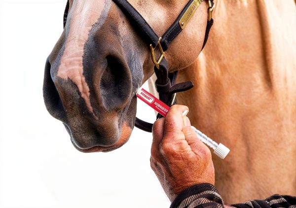 Horse Probiotics VETSORT 39.99-3