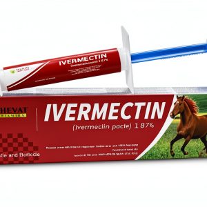 Shevat Horse Probiotic Paste SV-P1-N Apple Flavor Weight Calibrated-0