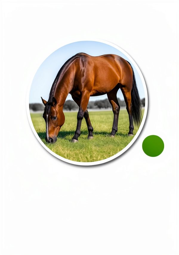 Shevat Horse Probiotic Paste SV-P1-N Apple Flavor Weight Calibrated-2